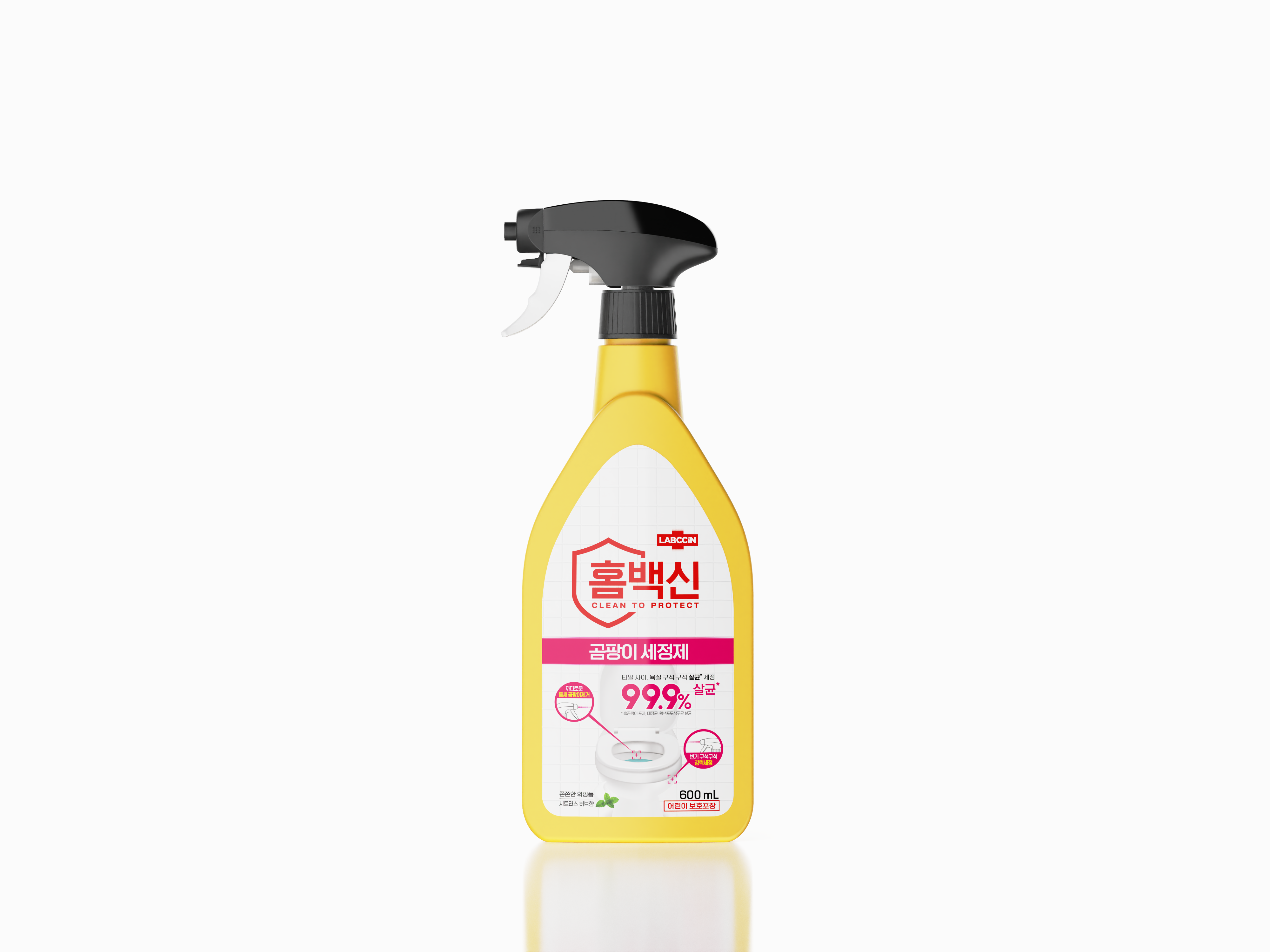 곰팡이600.png