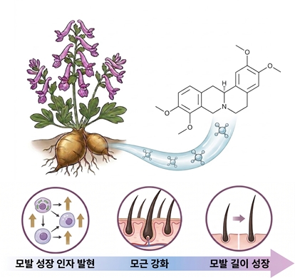 애경산업, 제14차 세계모발학회서 탈모 완화 신규 소재 연구 성과 발표(4).jpg