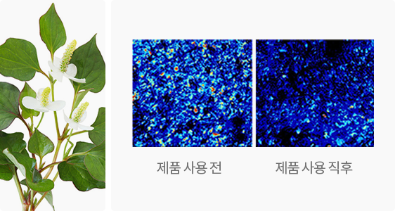 aekyung