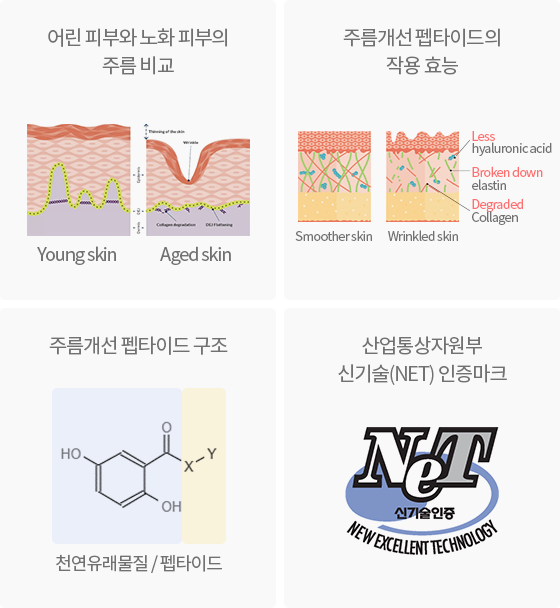 aekyung