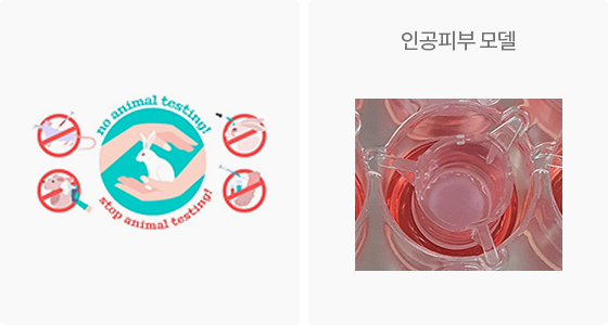 aekyung
